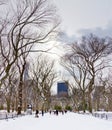 New York City - Central Park in Winter Royalty Free Stock Photo